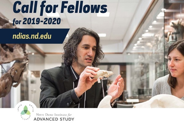 Ndias Call For Fellows 2019 2020